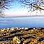 Hotel am See