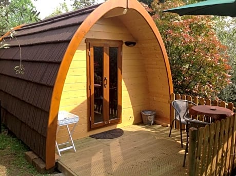 Igloo Garden Lake