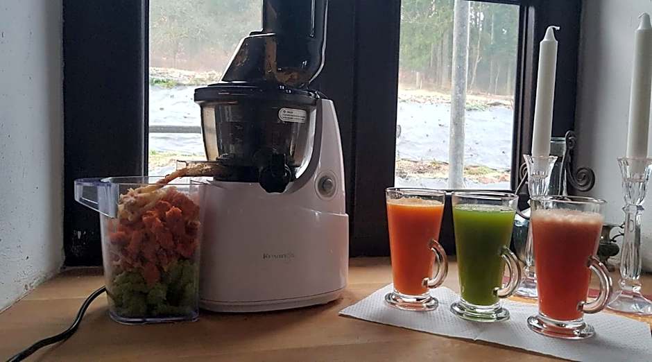 Pokoje Gościnne Art- Dworek