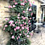 The Rose