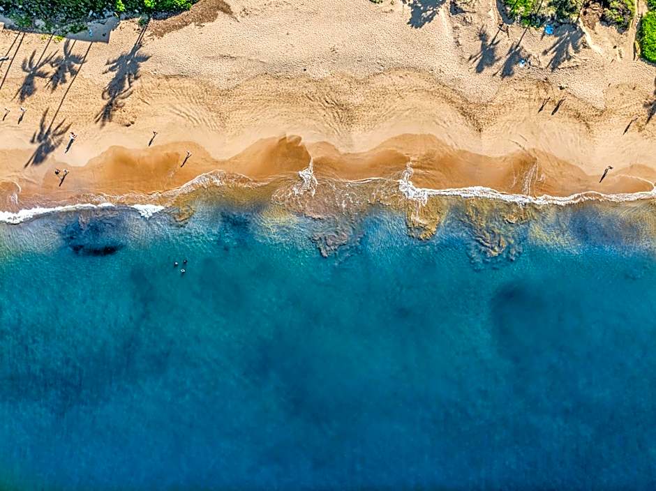 Prime Location! Walk to Beach, Shops & Dining!