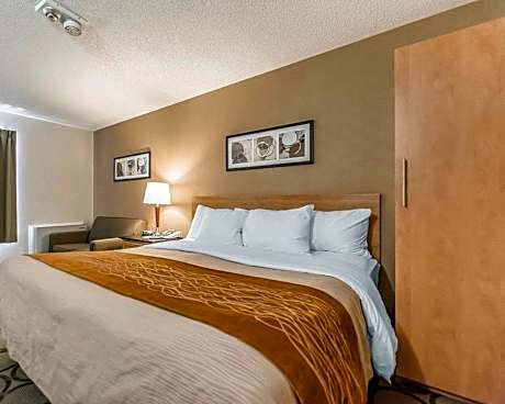 Deluxe King Room with Sofa Bed, Ground Floor