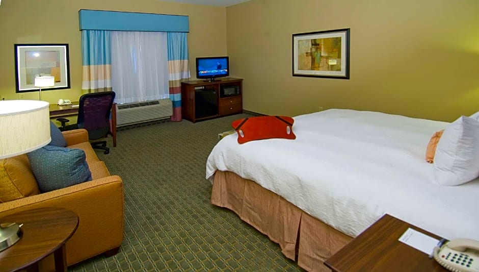 Hampton Inn By Hilton And Suites Baton Rouge Port Allen