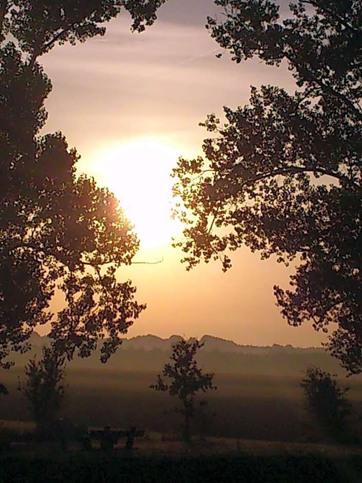 Hotel Farchauer Mühle