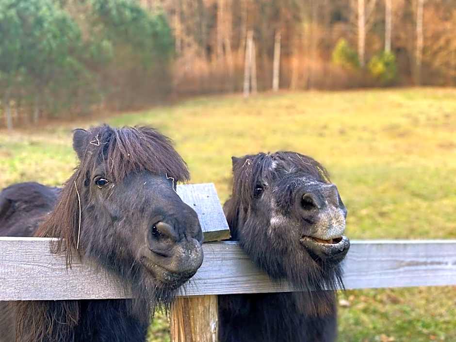 Rezydencja Leśny Dwór