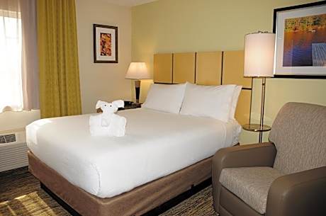 Queen Studio Suite