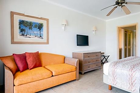 Premium Tropical View