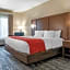Comfort Inn & Suites Downtown near University