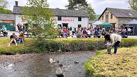 The Bridges