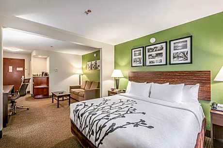 King Suite with Shower