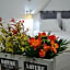 Nova Citrus Otel