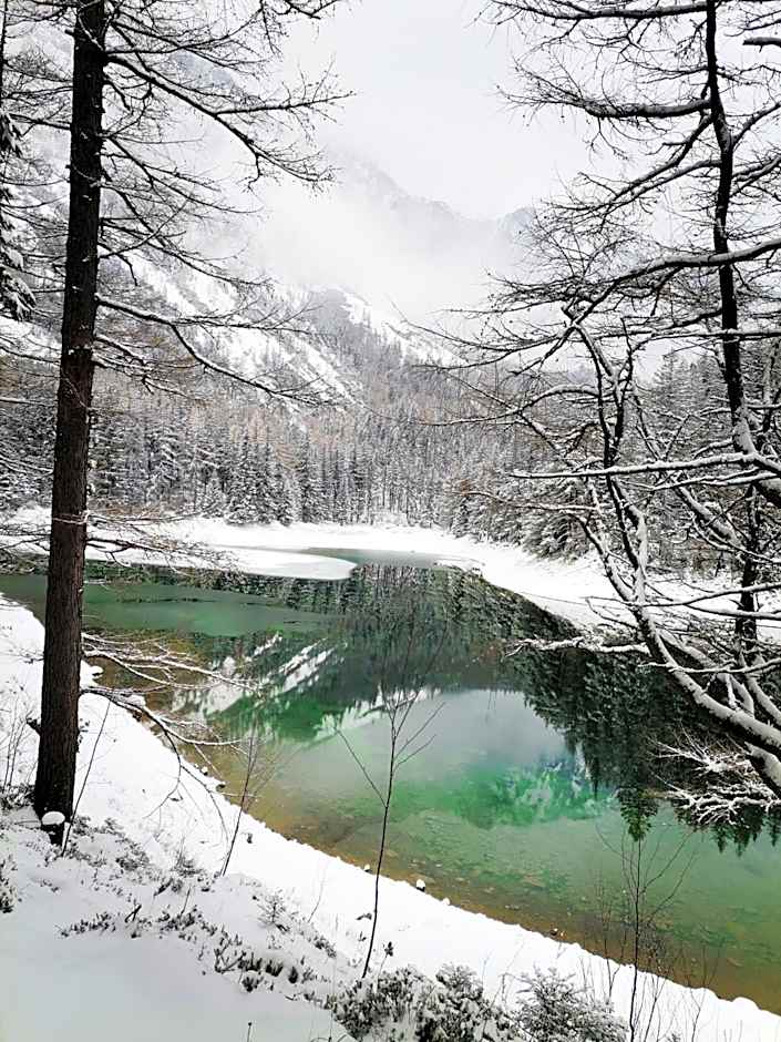 Haus Bergblick am Grünen See