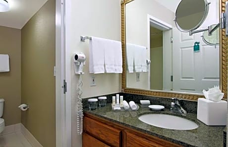 1 Queen Bed Studio Suite Nonsmoking