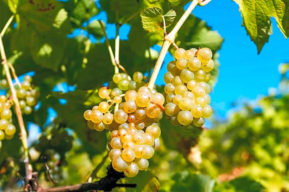 Thorbjørnrud Hotell