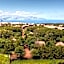 Alma do Pico - Nature Residence