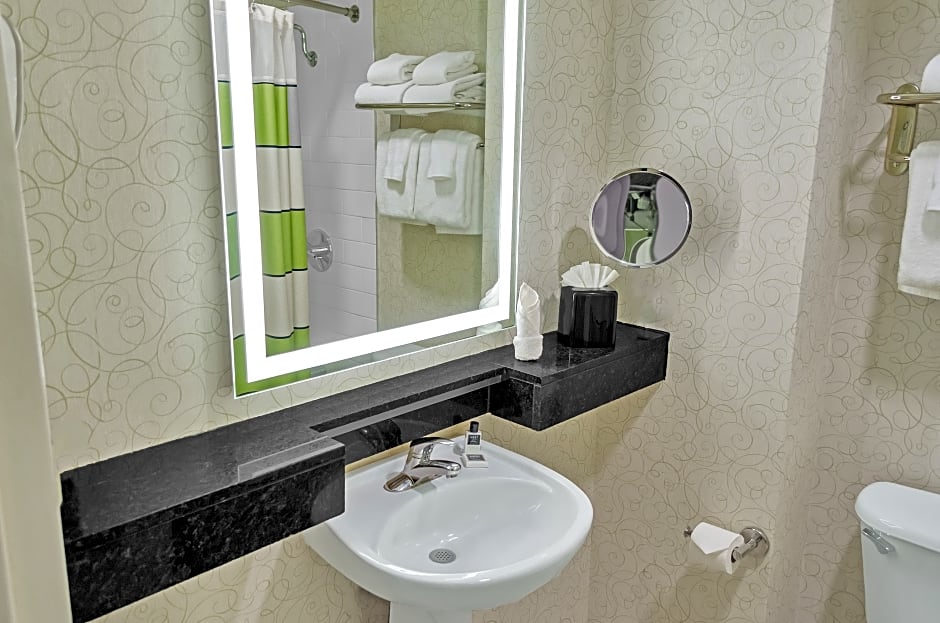 Hotel Indigo New Orleans French Quarter By IHG