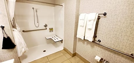 Suite - Mobility Access Roll in Shower/Non-Smoking