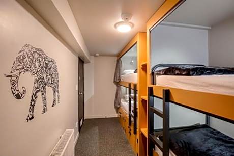 Single Pod in a 4 Bed-Mixed Budget Room