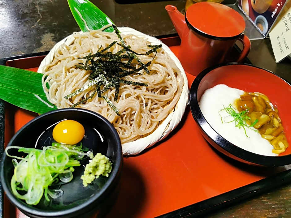 Hida Takayama's Town House