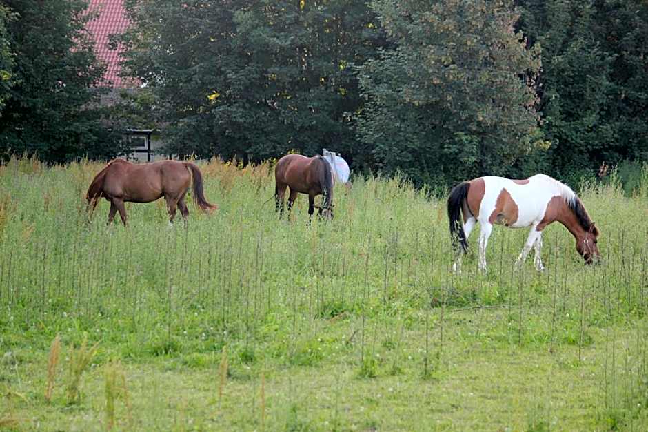 Hotel Pension Haus Stork