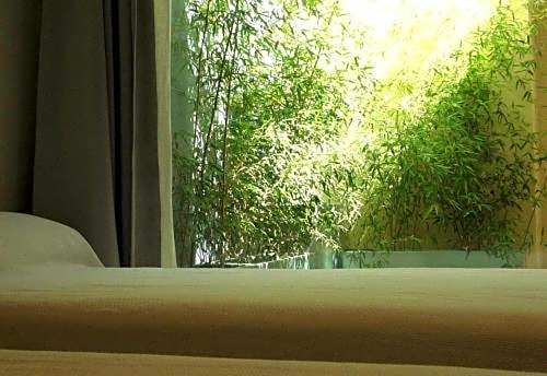 Hotel El Patiaz de la Reina Rana