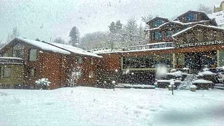 Hotel Pine Spring Pahalgam