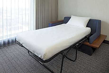 Suite, 1 King, Sofa bed