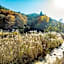 LA TERRA NAGANOーVacation STAY 96079v