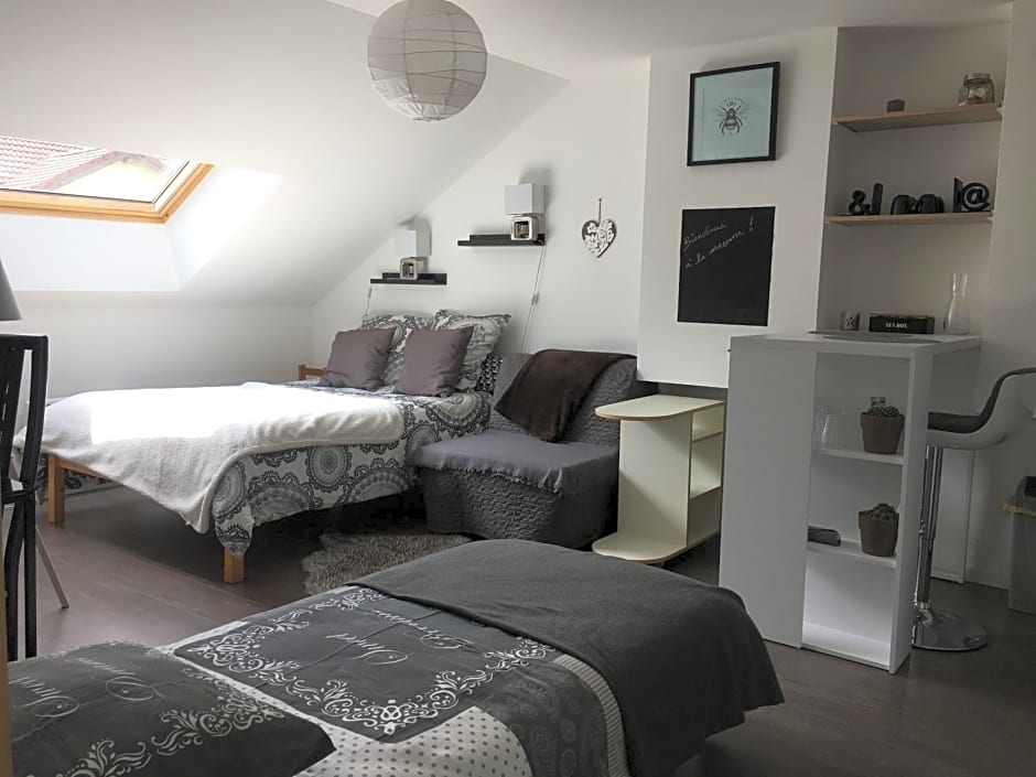 Charles – Thaon-les-Vosges, NM