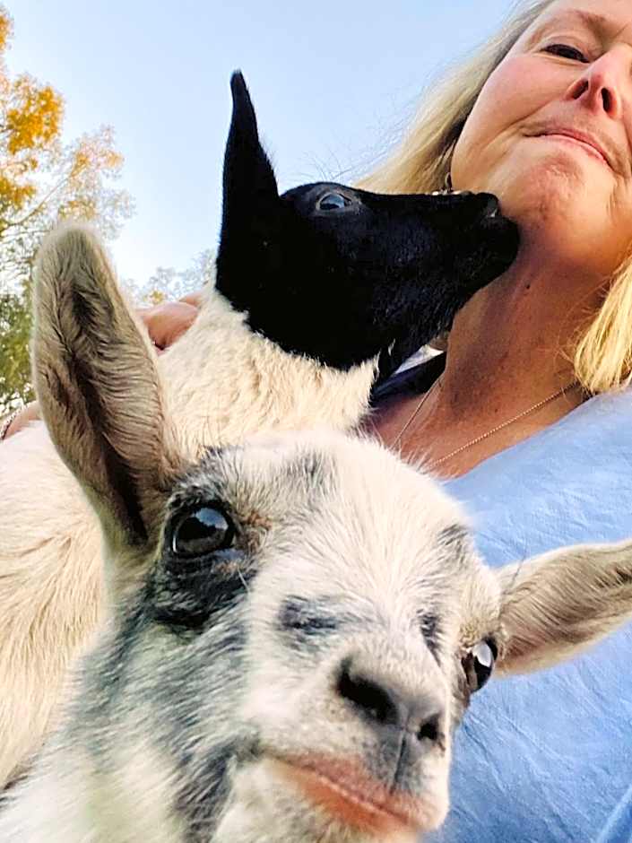 Sandalwood Downs Fabulous Farm Stay TOODYAY