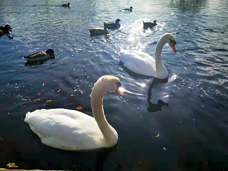 The Caledonian Thistle Hotel