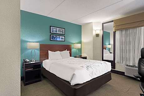 1 Queen Bed, Nonsmoking