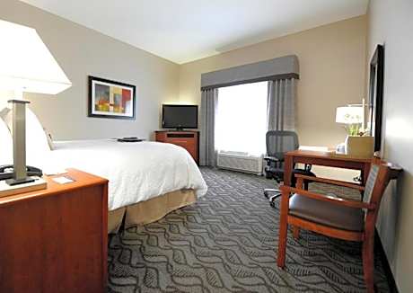 1 King Hear Acc Sofabed Fridge Mic Ns