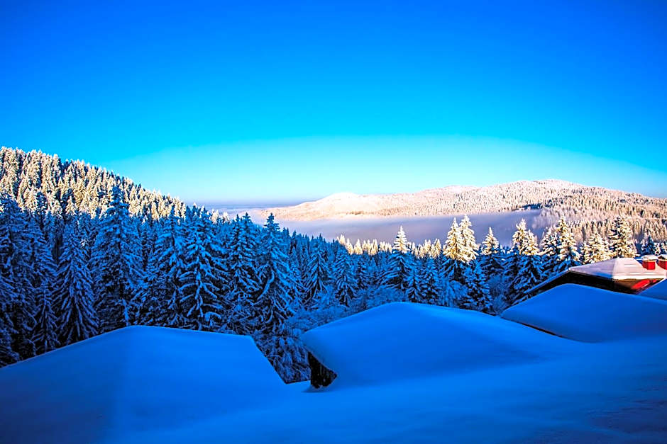 Sunny Hills Ski&Wellness