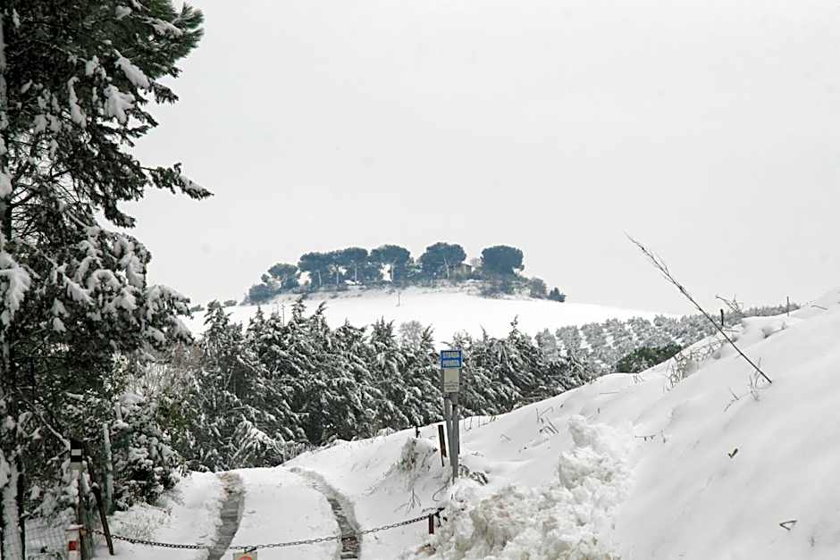 Tenuta Agricola Fonte Di Papa