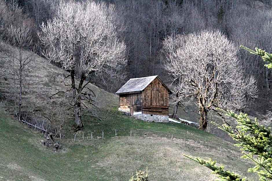 Alpen Suites Brandnertal