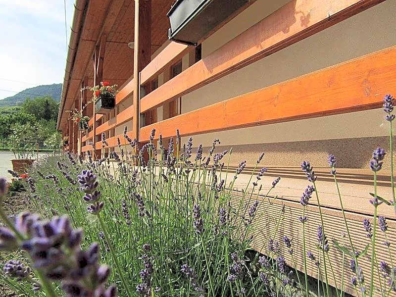 Hotel Halászkert Badacsony