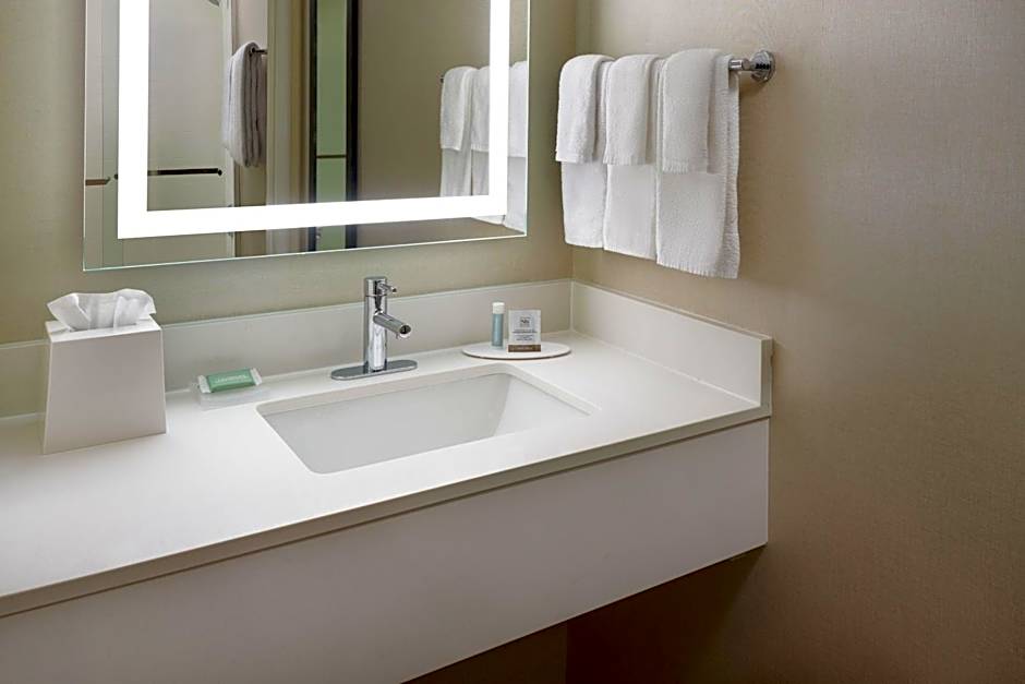 SpringHill Suites by Marriott Raleigh-Durham Airport/Research Triangle Park