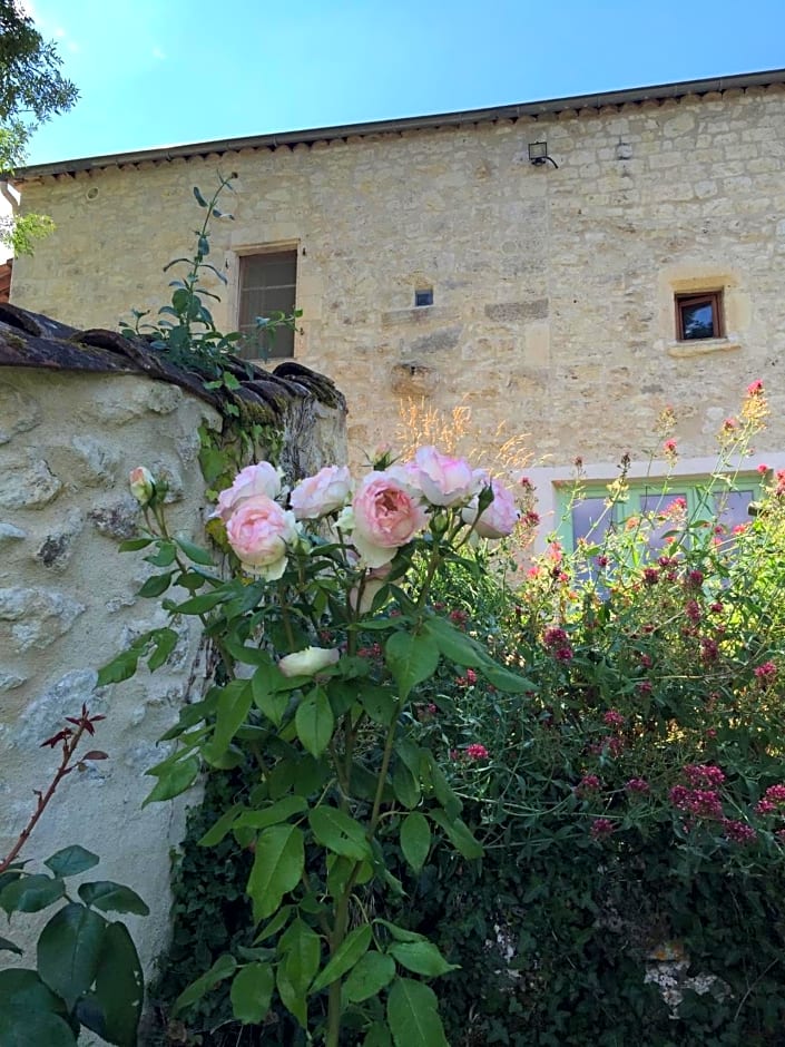 Le Mas Des Papillons chambre d'hôtes B&B