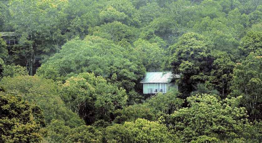 Wayanad Wild  Rainforest Lodge by CGH Earth