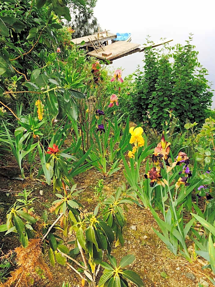 Cycle Inn Bed and Breakfast