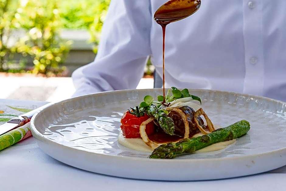 Trans World Hotel Donauwelle