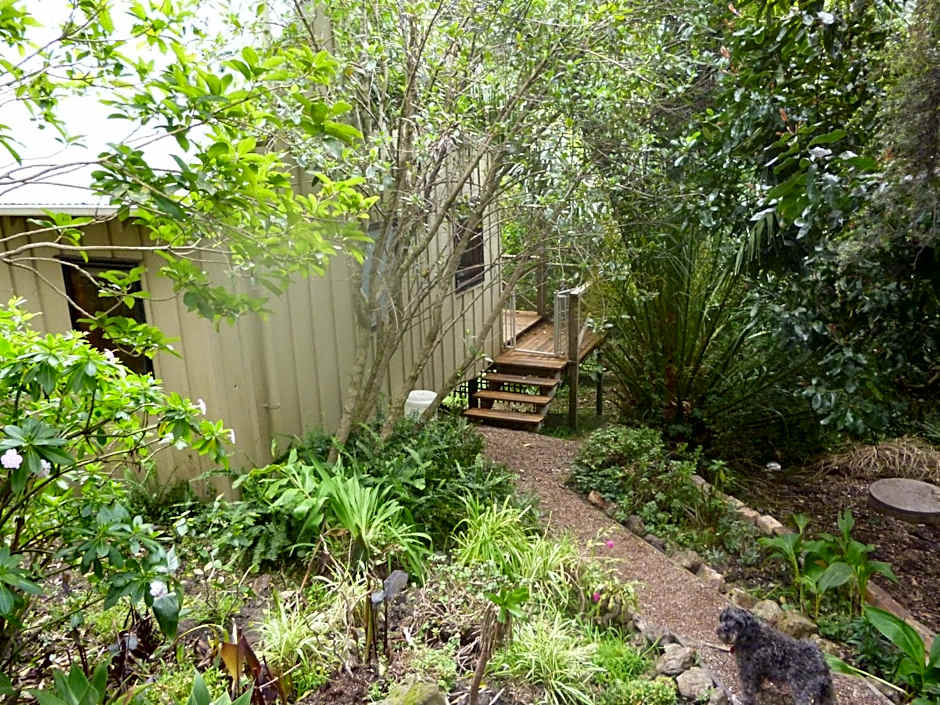 Waiheke Island Punga Lodge