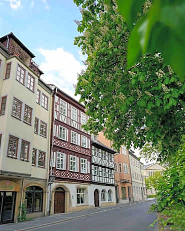 Lady Milavie apartments