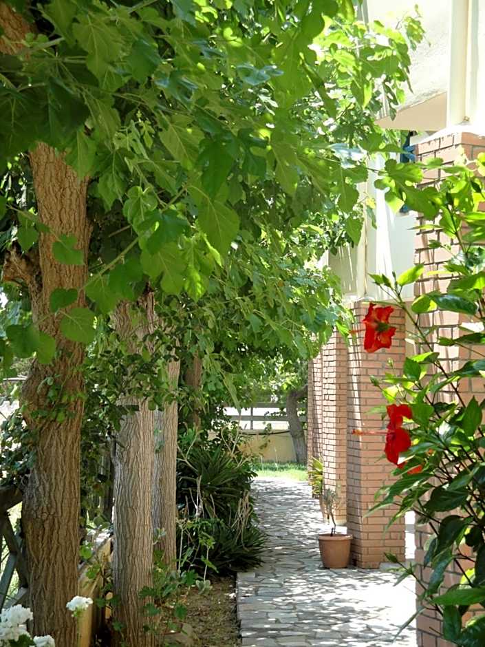 Nancy - Chara Apartments