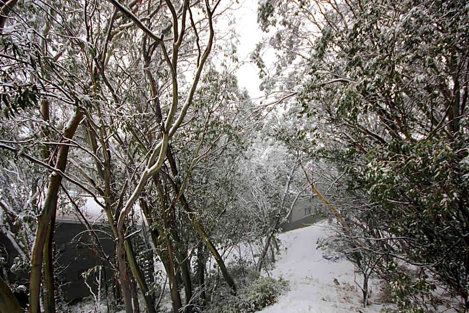 Lakeside Falls Creek