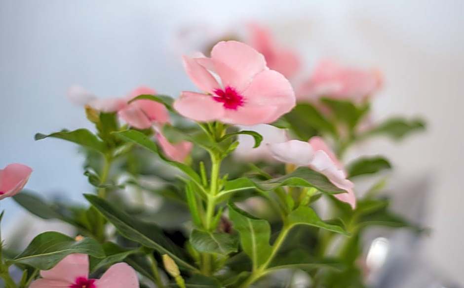 Ostria Hotel & Apartments