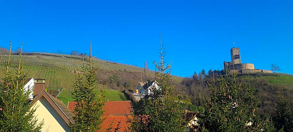 Gîte et chambres d'hôtes Les Framboises