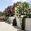 Casita of Casa Olivar