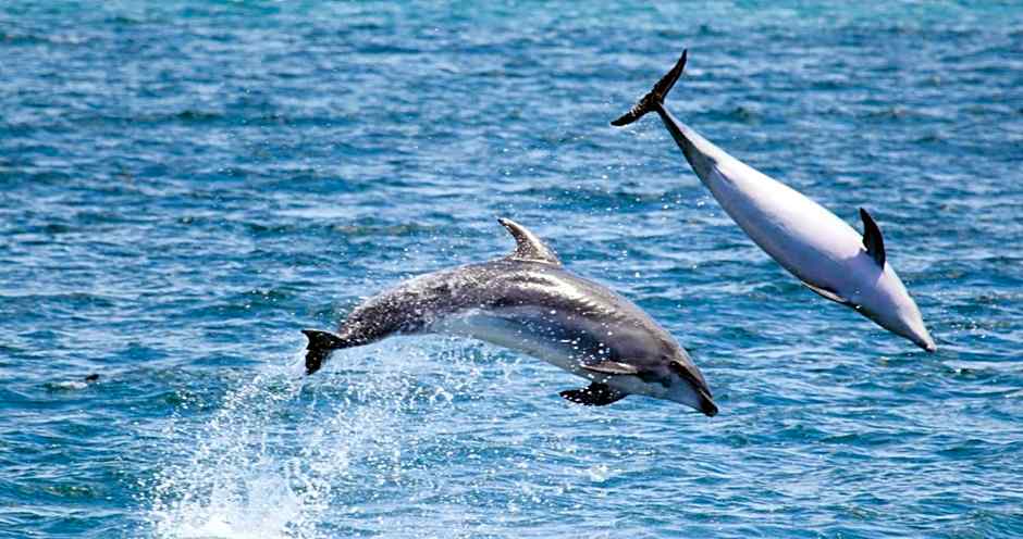 On the Beach Guesthouse Jeffreys Bay
